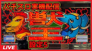【パチスロ実機配信】ゴールド獣王【設定5】