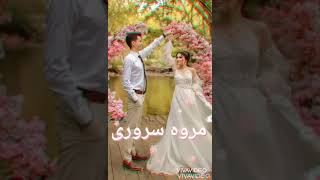 آهنگ شاد عروسی چرخ بزن چرخ بزن رقص بکن رقص بکن 💃🕺🇦🇫