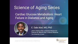 Cardiac Glucose Metabolism: Heart Failure in Diabetes and Aging