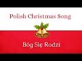Polish Christmas Song | Bóg Się Rodzi