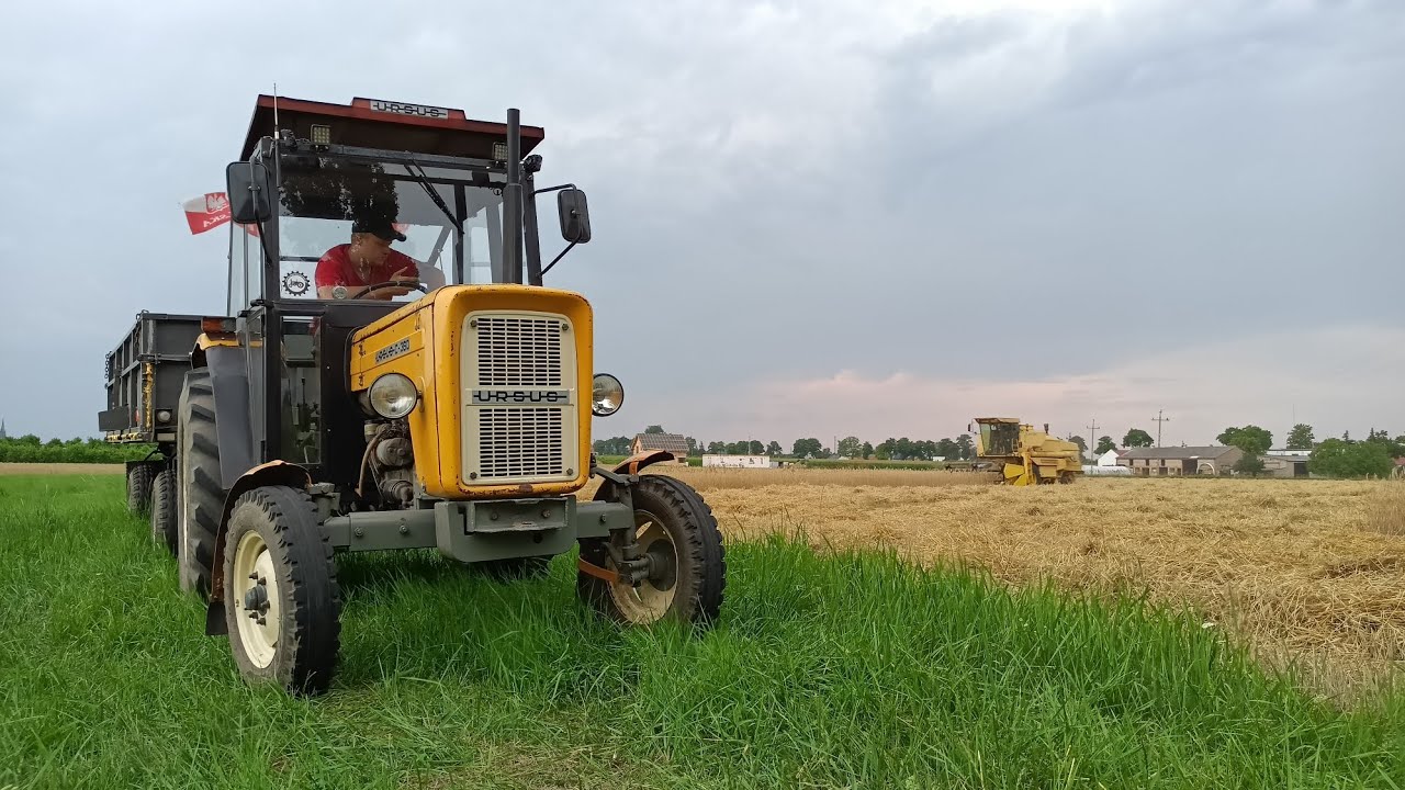 ✓ ŻNIWA 2024 ✓ URSUS C-360 / C-328 ✓ NEW HOLLAND 8060 ✓ CASE CS94 ✓