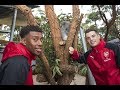 Arsenal visit Taronga Zoo | Arsenal Tour 2017