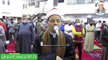 صلاة التراويح بصوت القارئ محمد الاسيوطي سورة البقرة ربع افتطمعون مسجد الرحمن بالخصوص قليوببة