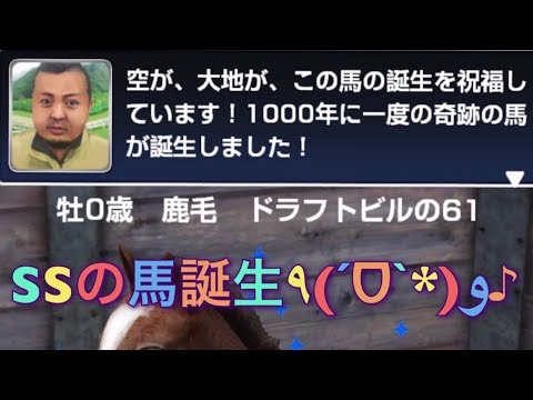 ダービーインパクト 種付けして1000年に1度の馬誕生 Youtube ダービーインパクト 種付けして1000年に1度の馬誕生 Youtube