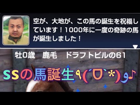 ダービーインパクト 種付けして1000年に1度の馬誕生 Youtube