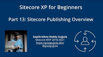 Part 13: Sitecore Publishing Overview