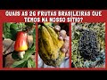 👉26 ESPÉCIES DE FRUTAS NATIVAS DO BRASIL/Frutas Brasileiras/Bora pra Roça
