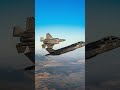 Celebrating 77 Years of the IDF