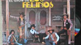 Ninas Malas-Los Felinos. chords
