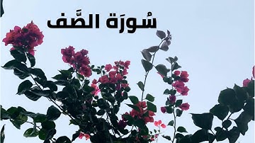 تلاوه رائعه للقارئ هزاع البلوشي  سورة الصف