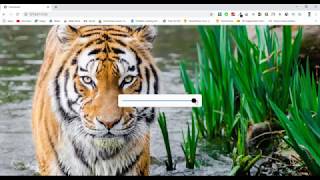 Brightness controller using range input | range input | control brightness with javascript |