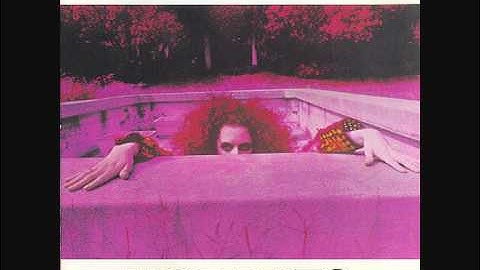 Frank Zappa - It Must Be A Camel - original 1969 mix