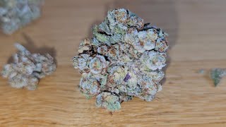High Craft Organic  Red Lebanese × puck hashplant weed review rsosos