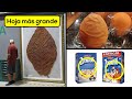 25 Cosas Que No Sabías Hace 5 Minutos [36]