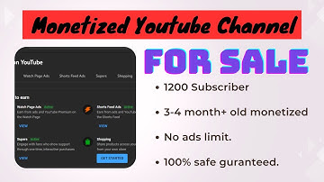 Monetized Youtube Channel