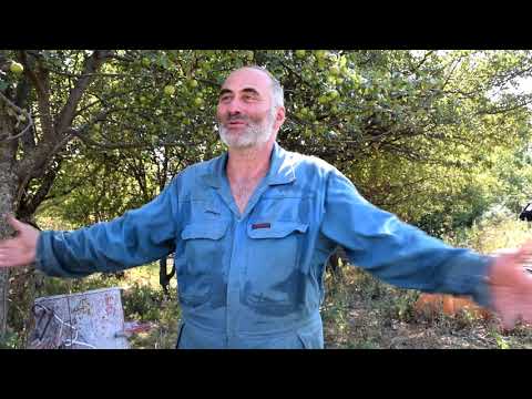 რა საკითხების გადაჭრას ითხოვენ სოფელ ვერონასა და რუსიანში