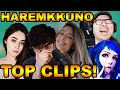 [HAREMKKUNO] Sykkuno's Top Twitch Clips Of All Time!