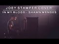 In My Blood by Shawn Mendes | Joey Stamper Cover