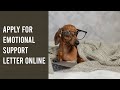 How to apply for an emotional support animal esa letter online  my esa doctor