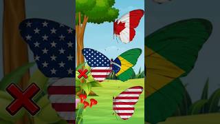 Find correct butterfly 🦋🦋🦋 flags #games #butterfly #shorts