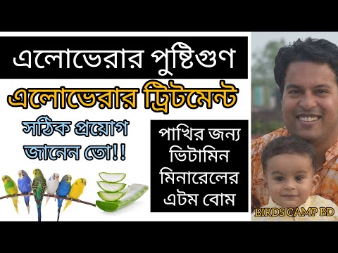 এলোভেরার গুণাগুণ | পাখির জন্য সঠিক প্রয়োগ এবং পাখির চিকিৎসায় এলোভেরা | Aloevera | পাখির ভেষজ খাদ্য-৪