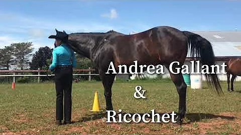 Andrea Gallant & Ricochet. July 11th, 2020