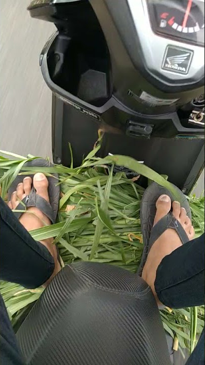 YO NGARET . YO DOLAN . YO MENCINTAIMU BARANG DEKK😍😂😂