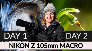 2 Days of Macro Photography with the Nikon Z 105mm Lens