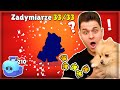 🐶 Mój PIES Otwiera Skrzynki i Trafia NOWEGO Zadymiarza w Brawl Stars Polska