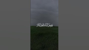 ترتيل شجي لسورة هود للقارئ عبدالرحمن ناجي بمحاكاة القارئ محمد الليحدان