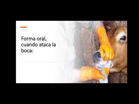 Vídeo: Com Tractar L’estomatitis En Nens