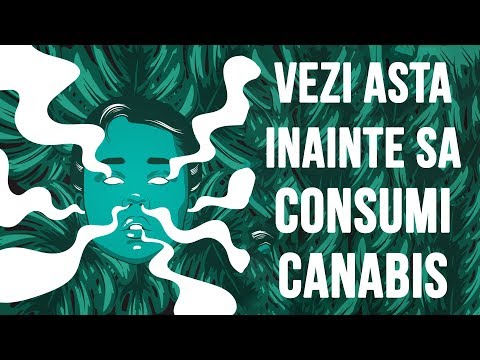 Video: Cât Durează O Mare De Marijuana? La Ce Să Te Aștepți