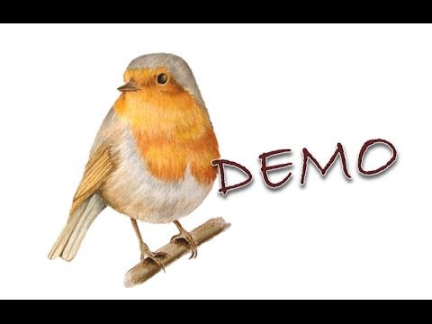 Démonstration N4 Dessiner Un Rouge Gorge