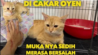 DI CAKAR OYEN SAMPE BEGINI MUKANYA SEDIH MERASA BERSALAH