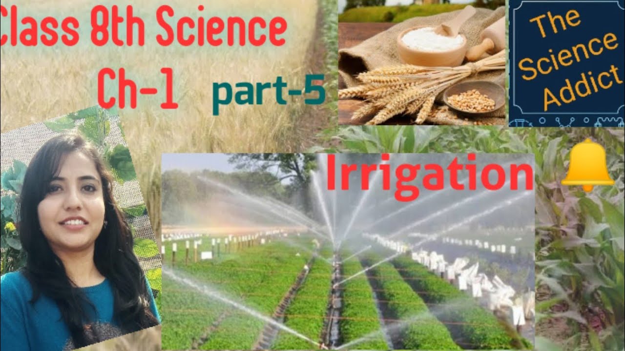 Class 8 ncert science chapter-1 crop production and Management (part-5 ...