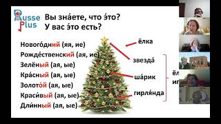 Comment parler du sapin de Noël en russe. Extrait d'un cours