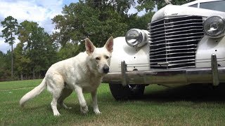 1938 Cadillac Sixty Special Vintage Sedan Street Rodded Fuel-Injected V8 Texas Caddy Samspace81