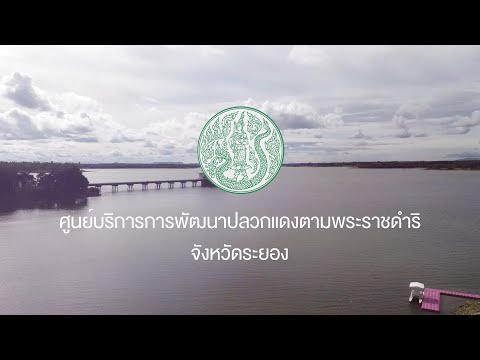 ศูนย์บริการการพัฒนาปลวกแดงตามพระราชดำริจังหวัดระยอง