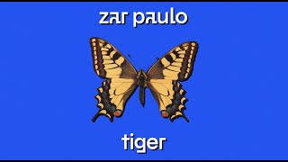 Video thumbnail of "Zar Paulo - Tiger (Lyrikvideo)"