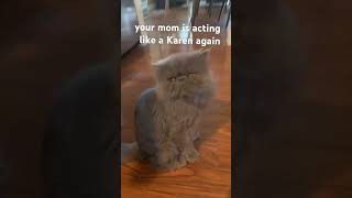#karen #karen