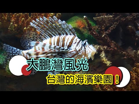 海岸之美，大鵬灣潟湖與小琉球的奇岩景觀│【台灣國家風景區】