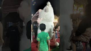 Saudi Arabia Jazanwinter Festival 2024