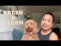 FRESH & CLEAN - KEEP YOUR DOG SMELLING GOOD!