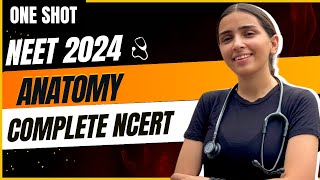 NEET 2024 Anatomy in One Shot | Class-11 Biology.