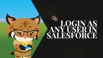 Login as Any User in Salesforce