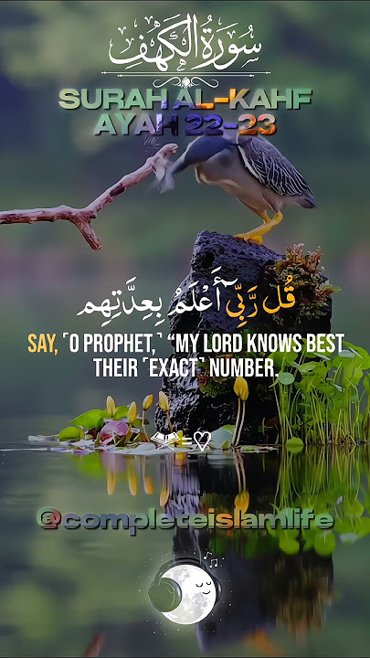 Quran Recitation Surah Al Kahf | P-9 | #surahalkahaf #surahkahf #quranrecitation
