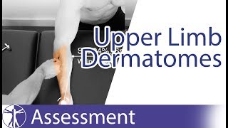 Dermatomes Upper Limb | Peripheral Neurological Examination screenshot 2