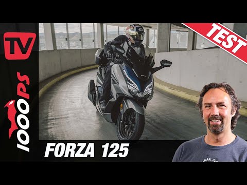 Honda Forza 125 Test 2021 - wie viel Luxus passt in einen Roller?