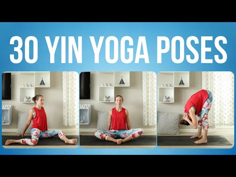 Yin Yoga - Samadi Yoga