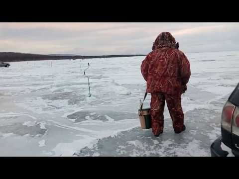 белый байкальский хариус реальная рыбалка